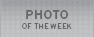 photo of the week